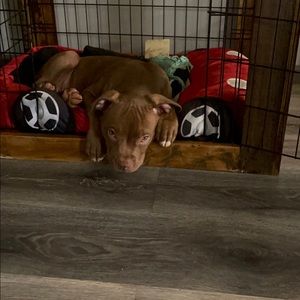 Meet your Posher, Caroline